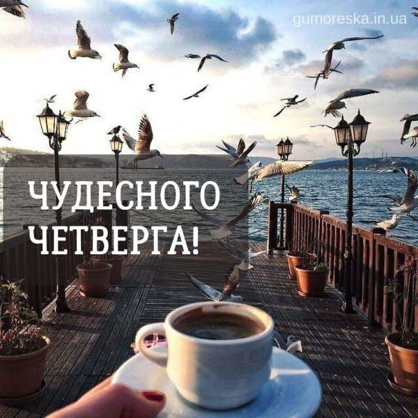 С добрым февральским утром четверга