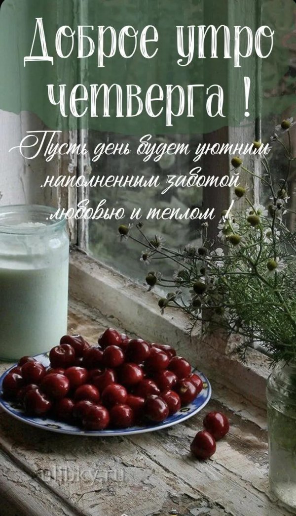 С добрым февральским утром четверга