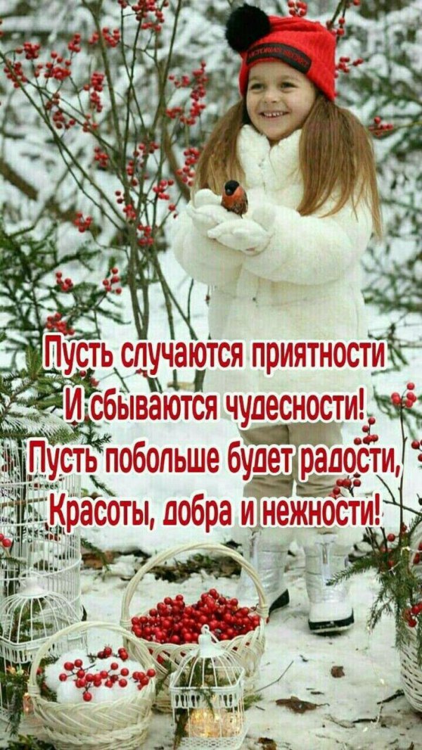 С добрым февральским утром четверга