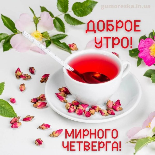 С добрым февральским утром четверга