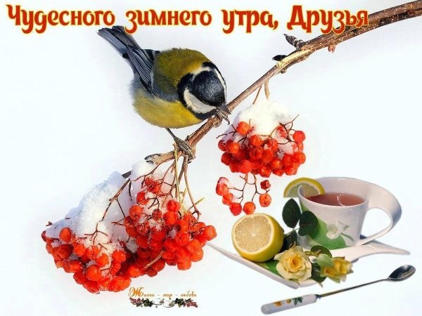 С добрым февральским утром четверга