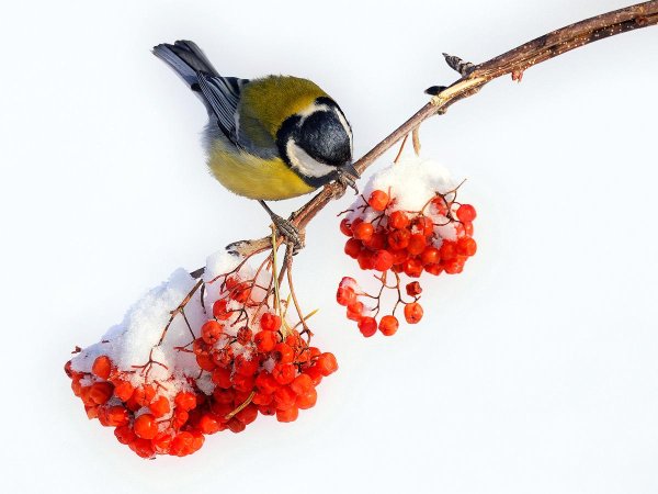 С добрым февральским утром четверга