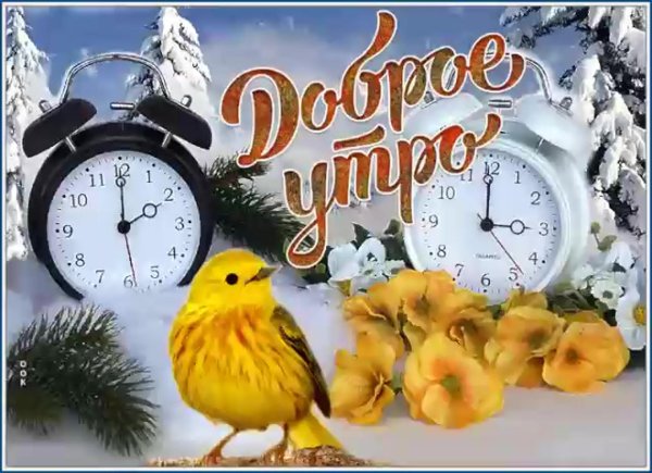 С добрым февральским утром четверга