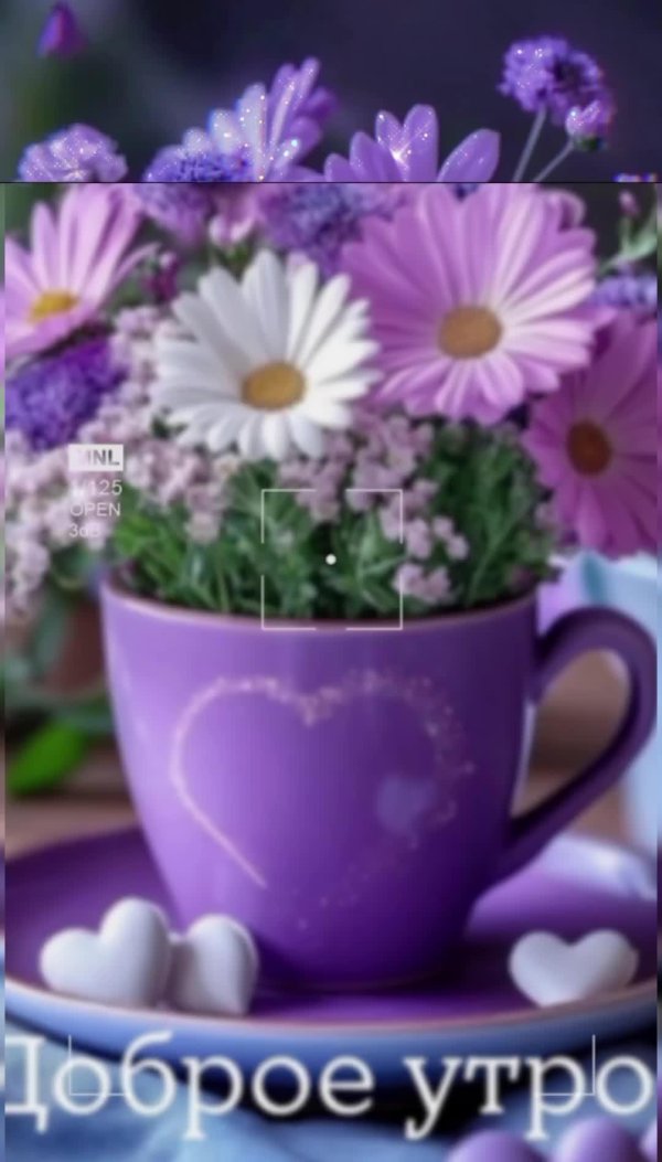 С добрым февральским утром четверга