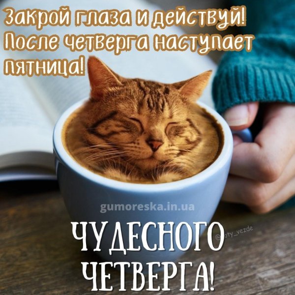 С добрым февральским утром четверга