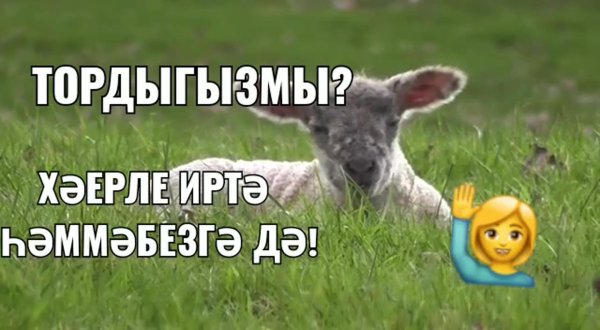 Тыныс йоко на башкирском языке