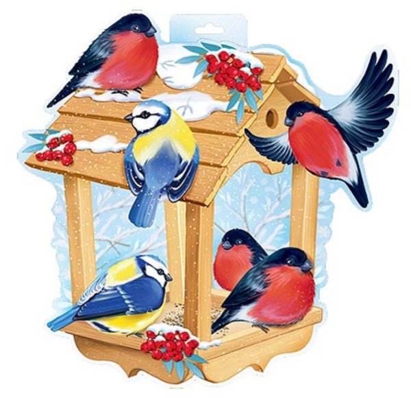 Птиц зимующих для детей цветные