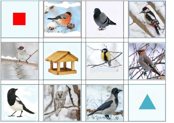 Птиц зимующих для детей цветные