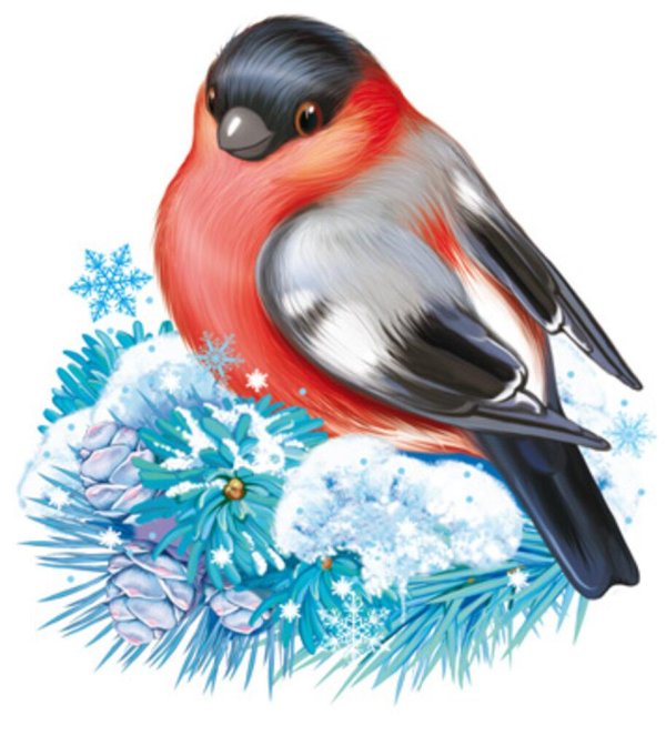 Птиц зимующих для детей цветные