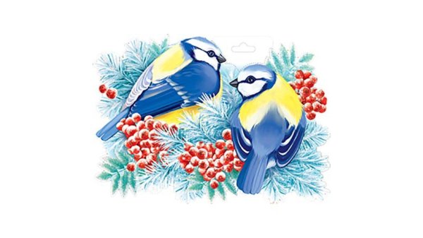 Птиц зимующих для детей цветные