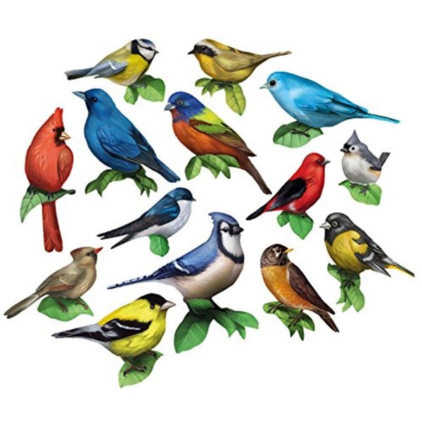 Птиц зимующих для детей цветные