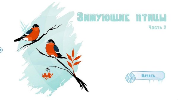 Птиц зимующих для детей цветные