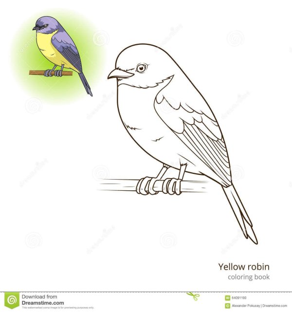 Птиц зимующих для детей цветные