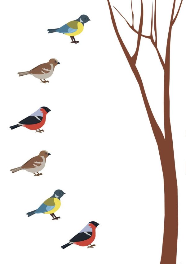 Птиц зимующих для детей цветные