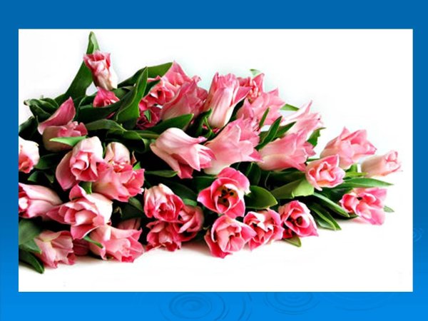 Алена с юбилеем с пожеланиями