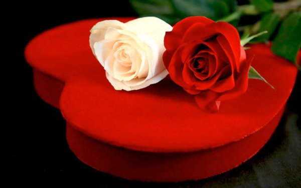 Вечная память маме от дочери