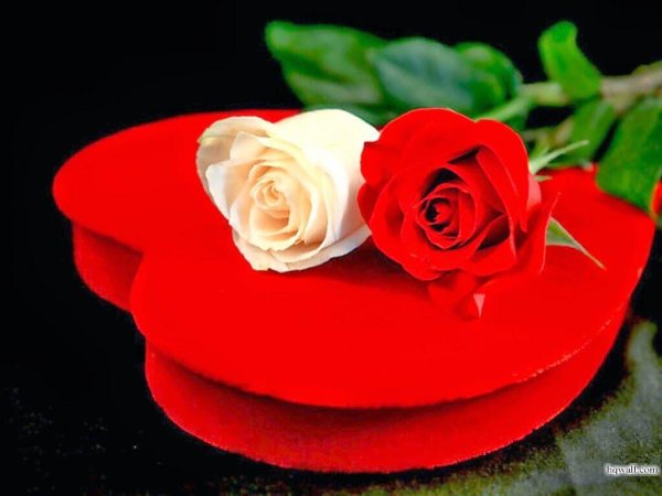 Вечная память маме от дочери