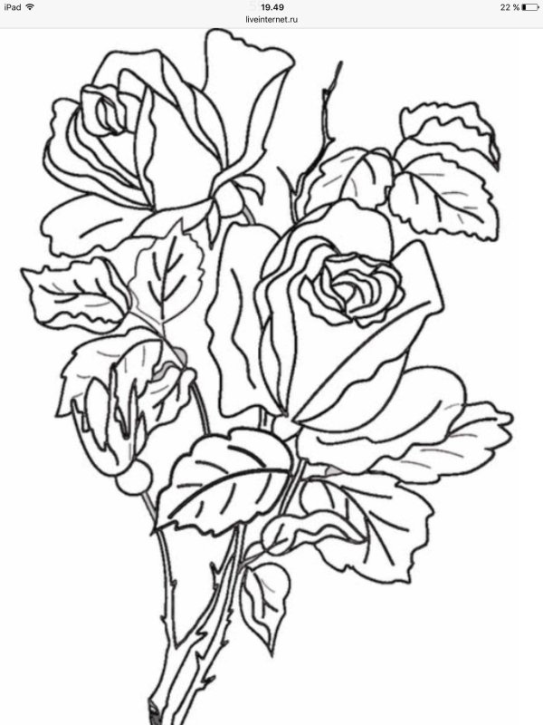 рисунки цветов