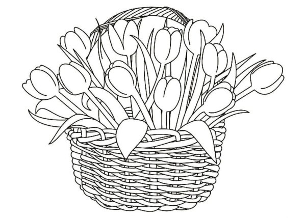 корзина с тюльпанами раскраска