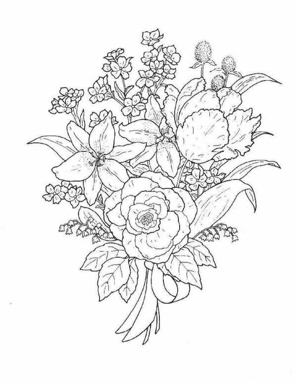 букет цветов рисунок карандашом