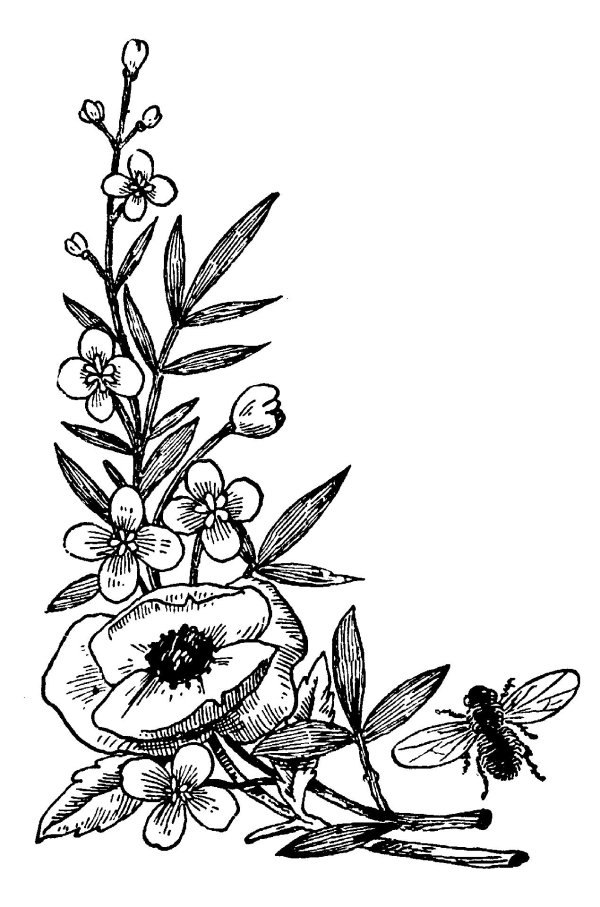 цветок графика