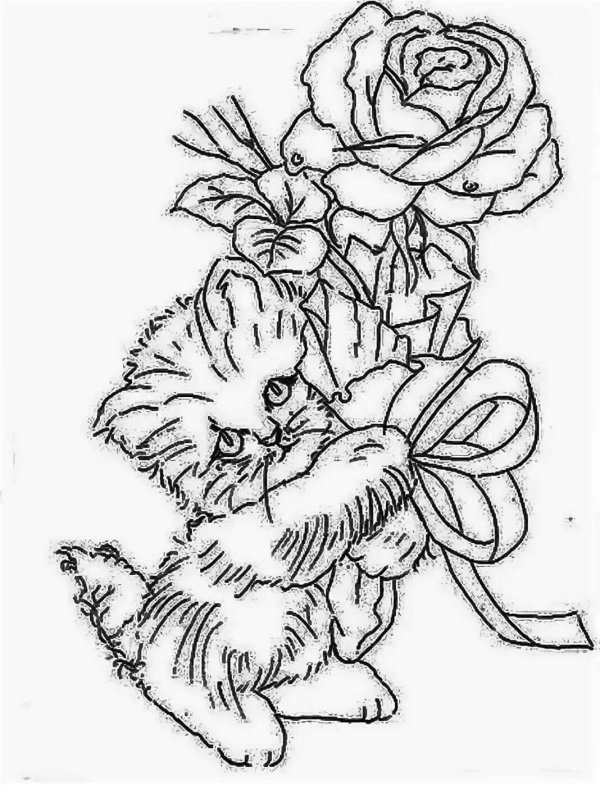 рисунки для выжигание