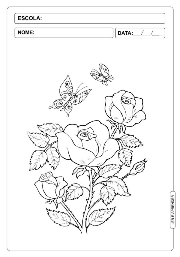 раскраски розы красивые