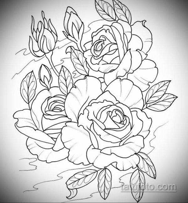 эскиз роз