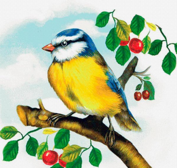 Животных и птиц для детей цветные