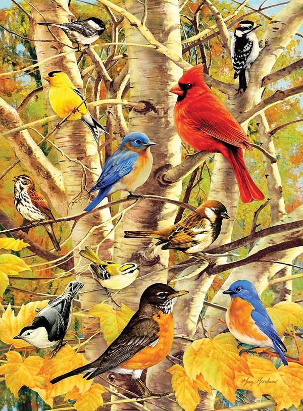 Животных и птиц для детей цветные