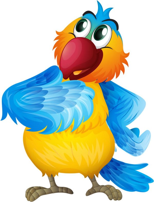 Животных и птиц для детей цветные