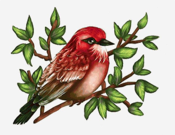 Животных и птиц для детей цветные