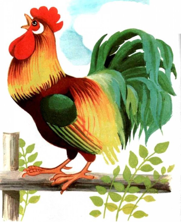 Животных и птиц для детей цветные