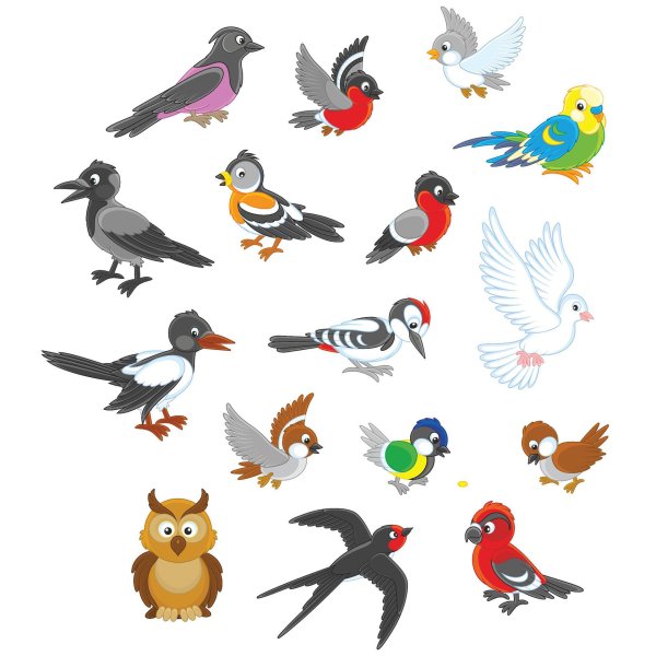 Животных и птиц для детей цветные