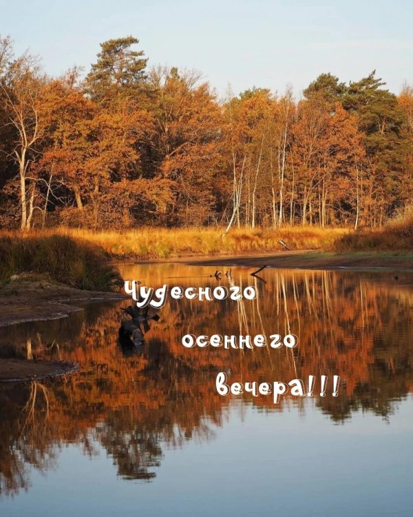 С добрым вечером осенние с пожеланиями