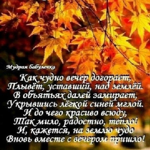 С добрым вечером осенние с пожеланиями