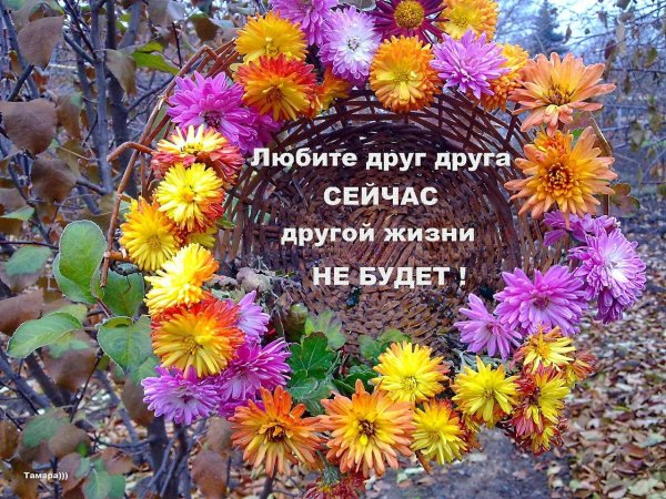 Радуйтесь жизни и каждому дню с надписью