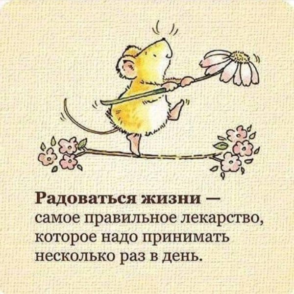Радуйтесь жизни и каждому дню с надписью