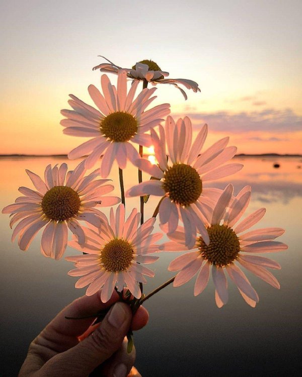 Радуйтесь жизни и каждому дню с надписью