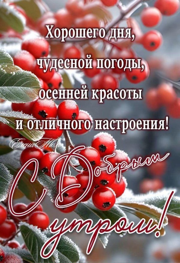 Радуйтесь жизни и каждому дню с надписью