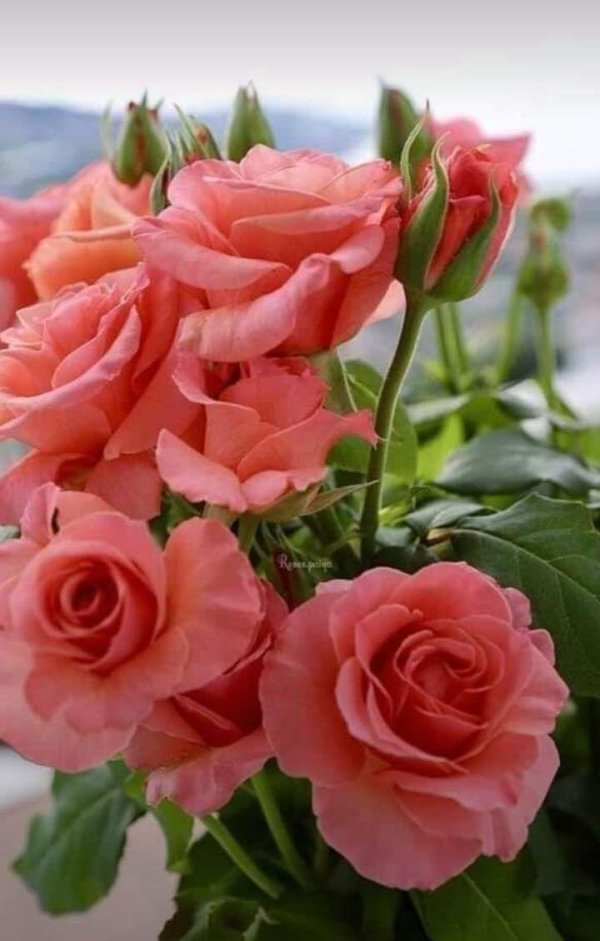 Радуйтесь жизни и каждому дню с надписью