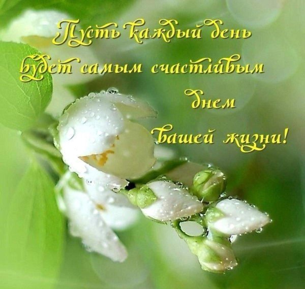 Радуйтесь жизни и каждому дню с надписью