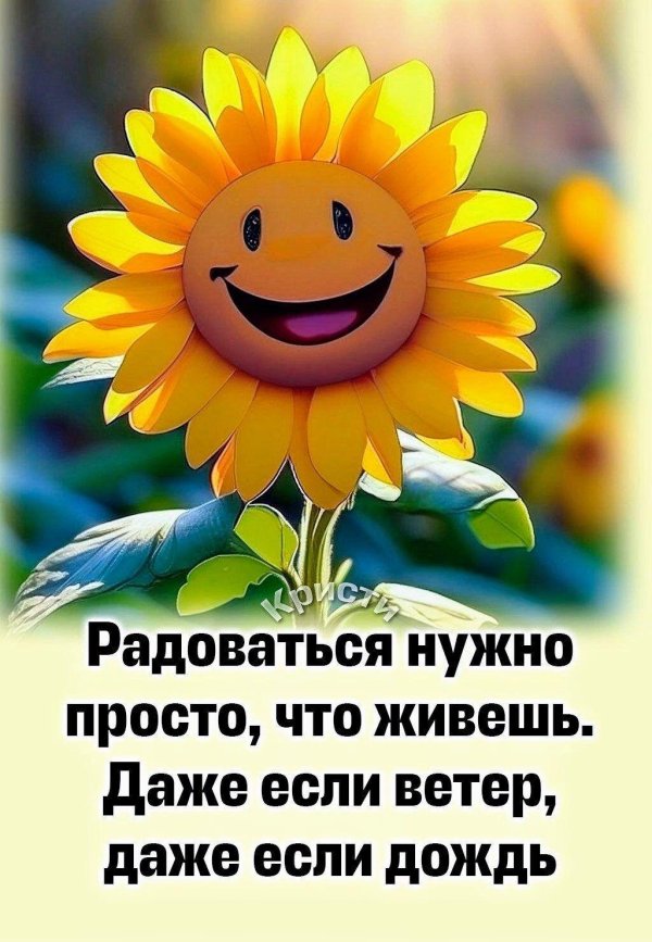 Радуйтесь жизни и каждому дню с надписью