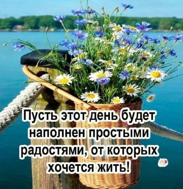 Радуйтесь жизни и каждому дню с надписью