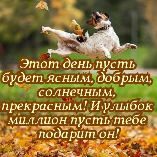 Радуйтесь жизни и каждому дню с надписью