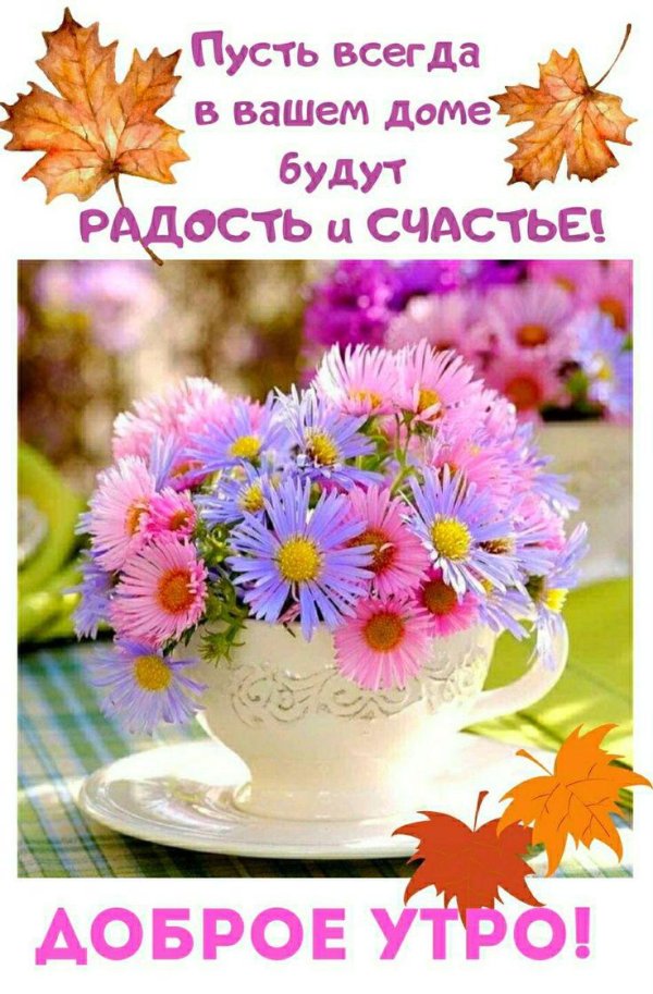 Радуйтесь жизни и каждому дню с надписью