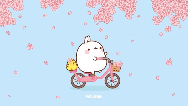 На рабочий стол телефона для девушек милые