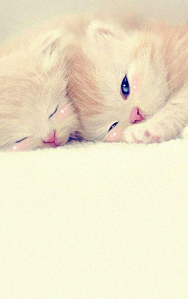 На рабочий стол телефона для девушек милые