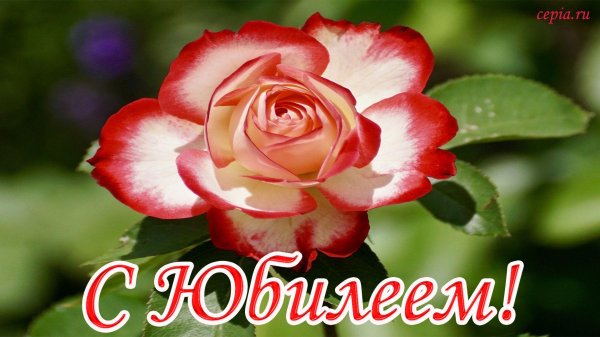 С юбилеем 85 лет женщине с пожеланиями