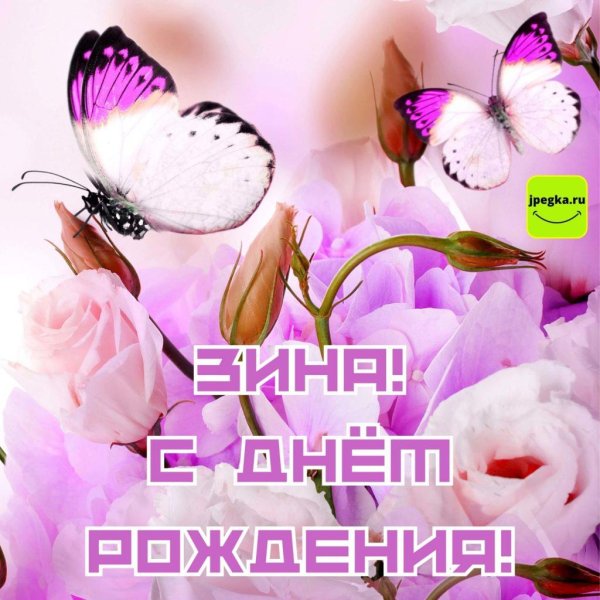 с днем рождения зинаида